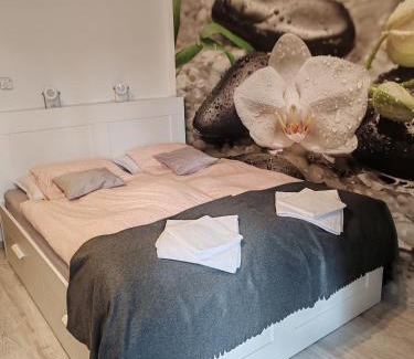 Harkany Apartment | Family-Friendly Orchidea Apartment with Kitchen Amenities