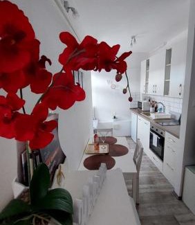 Veszprem Apartment | Top-Rated Orchidea Veszprém Apartman with Family Amenities