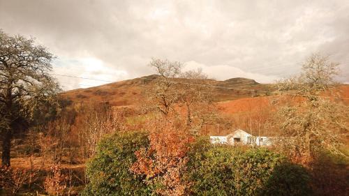 Dalmally Bed & Breakfast | Exceptional Orchy Bank House: Ideal for Families & Rated 9.5