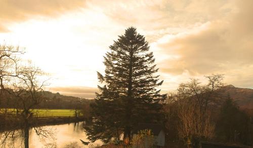 Dalmally Bed & Breakfast | Exceptional Orchy Bank House: Ideal for Families & Rated 9.5