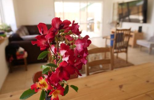 Kfar Vradim Villa | Oren's Place: Ideal Family Retreat with Pool & Ocean Views