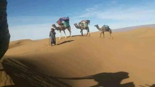 Foum Zguid Hotel | Experience Comfort at Auberge Sahara Iriki with Great Amenities