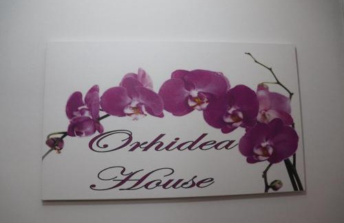 Varosh House | Oceanfront Orhidea House: Guest Rated 9/10 & Pet Friendly