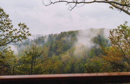 Rogers Cabin | 'Oriole' - One of our cute and tidy Lookout Cabins