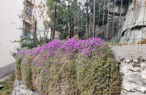 Ormea House | Discover Ormea nel cuore: Pet-Friendly & Family Welcome