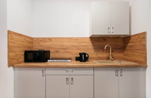 Ursus Apartment | Pet-Friendly ORSO Studio with King Bed and Kitchenette
