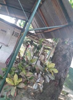 Altagracia House | Budget-Friendly Ortiz Hospedaje Ometepe: Family & Pet Friendly