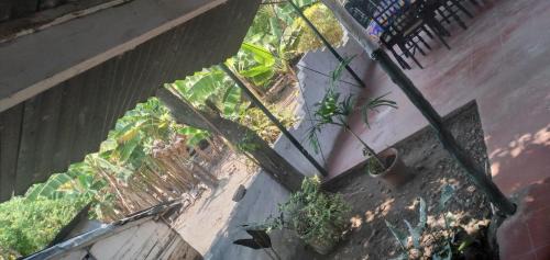 Altagracia House | Budget-Friendly Ortiz Hospedaje Ometepe: Family & Pet Friendly