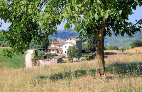 Corbara Apartment | Idyllic Orvieto Country House with Pool and Ocean Views