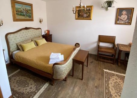 Tautavel Hotel | Comfortable Os-thel Hotel: Pet-Friendly Rooms Await