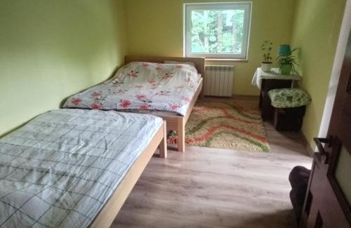 Plaska House | Discover Osada leśna: Family-Friendly Retreat with Hot Tub