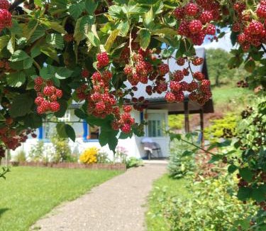 Cisna Cabin | Pet-Friendly Retreat at Osada Leonówka Bieszczady - 9.8 Rated