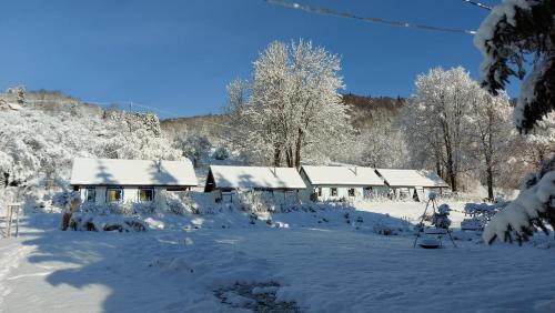 Cisna Cabin | Pet-Friendly Retreat at Osada Leonówka Bieszczady - 9.8 Rated