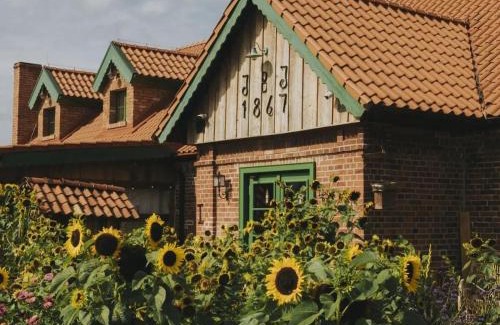 Braniewo House | Osada Między Drzewami