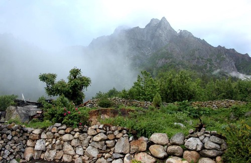 Sangla Hotel | Cozy Osiya Shambhu Lodge: Pet-Friendly with Breakfast