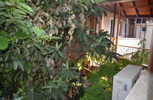 Tarsus Hotel | Pet-Friendly Osmanli Marco Pasha Hotel with Breakfast Included