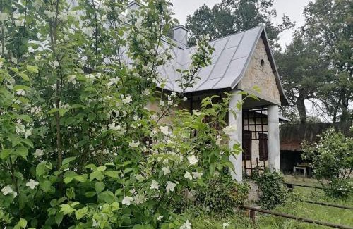 gmina Reczno Villa | Ostoja Będzyn: Perfect Getaway by the Pilica River