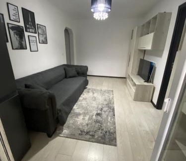 Ramnicu Valcea Apartment | Ostro Two Bedrooms: Family-Friendly Retreat for Everyone
