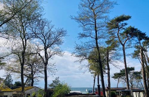Am Salzhaff Apartment | Discover Ostsee-Gutshaus Am Salzhaff: Oceanfront Retreat
