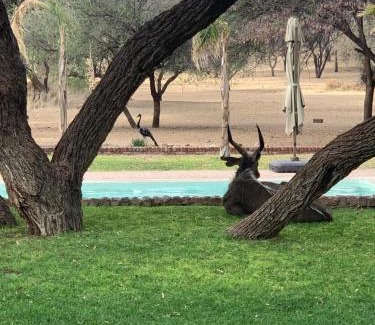 Otjiwarongo Cabin | Otjibamba Lodge: Oceanfront Retreat with Pool & Dining