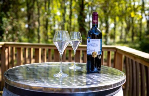 Saint-Vivien-de-Medoc Apartment | Otonneauxstress - Vigneron