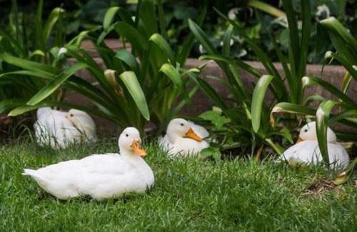 Cradock House | Inviting Oude Pastorie: Family-Friendly with Great Amenities