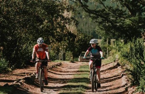 Riversdale House | Discover Oudebosch Guest Farm: Kid-Friendly Retreat with Pool