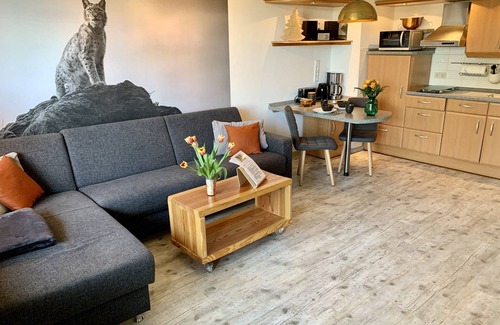 Sankt Andreasberg Apartment | Discover FeWo Luchsbutze: Balcony, Garage & 10/10 Rating!