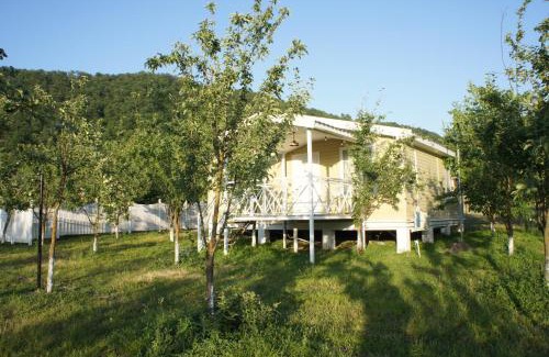 Gabala Apartment | Pet-Friendly Retreat: Our Garden Awaits You