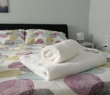 Donaustadt Apartment | Eco-Friendly Retreat: Our Haven in 1220 with Hot Tub