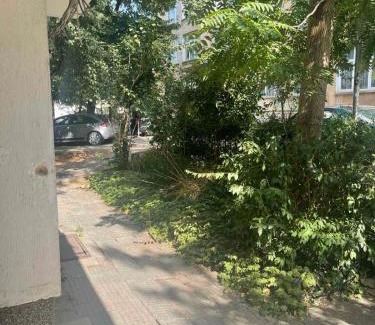 Lozenets Apartment | Family-Friendly Retreat at Our Place with 9.9 Guest Rating