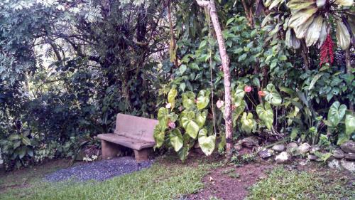 Iporanga Ski Chalet | Experience Ouro Grosso Chales: Pet-Friendly with Breakfast