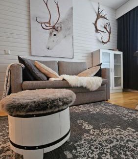 Saariselka Apartment | Outapailakka K18