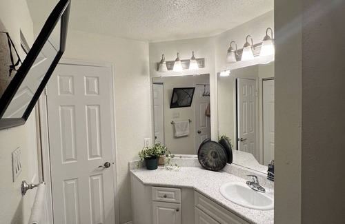 Landmark Apartment | Vibrant Apartment with Fantastic Pet-Friendly Amenities