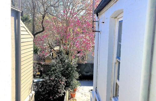 Newtown House | Exceptional Grand Newtown Home: Pet-Friendly, Spa & Ocean View