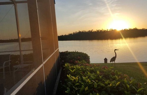 Marco Island House | Experience Nature: Private 5 Bedroom Waterfront Retreat