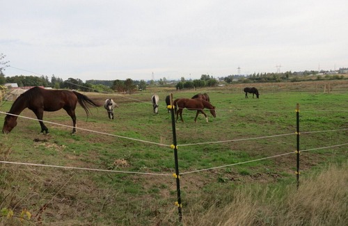 Salem RV Rental | Convenient Overnight RV Parking Near Horse Barn - 10/10 Rated