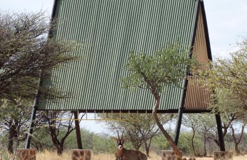 Otjozondjupa Region Other | Explore Ovita Wildlife Restcamp: 9/10 Rated Getaway