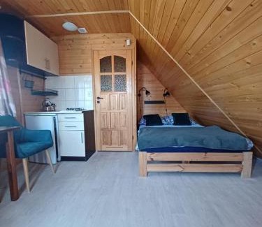 Darlowo Apartment | Relax at OW HOLIDAY Wicie: Ocean View & Private Beach