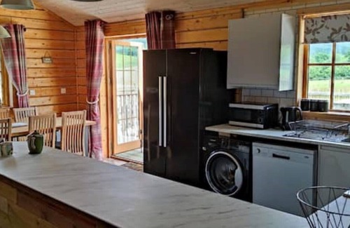 Llanbrynmair Cabin | Cozy Owl Cabin: Pet-Friendly Retreat with Hot Tub