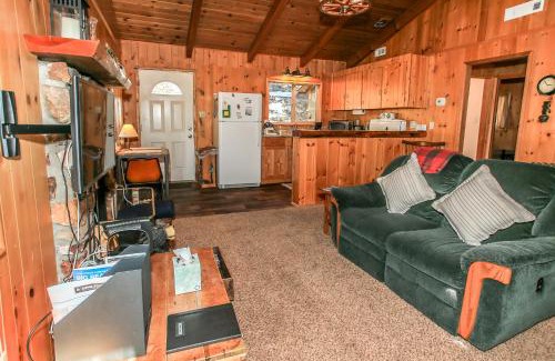 Fawnskin House | Owl Cabin: Relaxing Retreat Near National Forest in Fawnskin