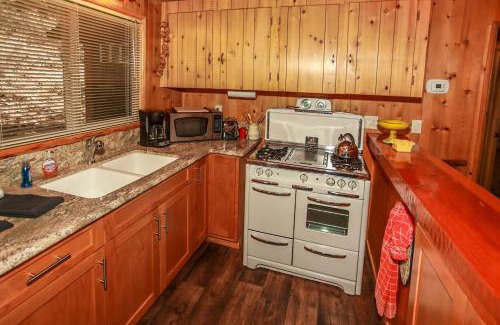 Fawnskin House | Owl Cabin: Relaxing Retreat Near National Forest in Fawnskin