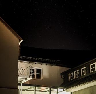 Heitersheim Hotel | Relax at OX Hotel: Pet-Friendly with Breakfast Included