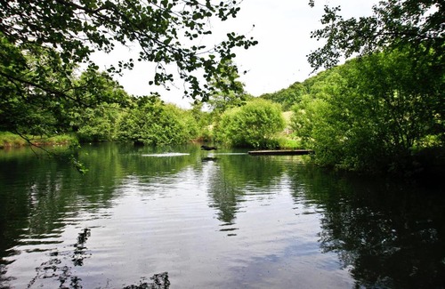 Bridport Bed & Breakfast | Oxbridge Farm: 4-Star Retreat with Pet-Friendly Amenities
