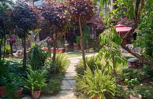 Bullawala Villa | Relax at Oxygen Home Stay in Dehradun with Pool & Breakfast