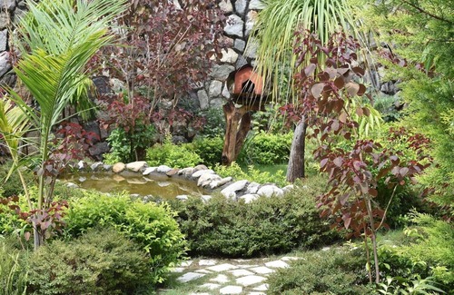Bigha House | Relaxing Oxygen Home Stay with Pool in Dehradun