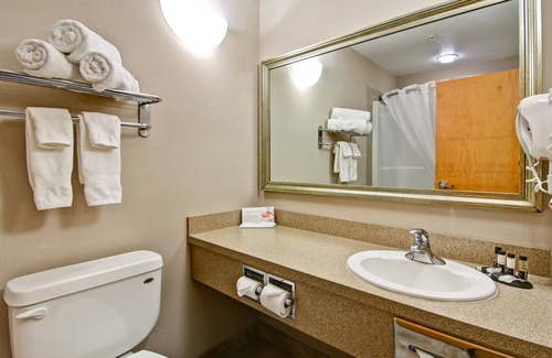 Oyen Hotel | Discover Oyen Canalta: Top-Rated Family-Friendly Hotel