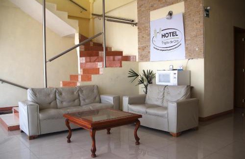 Teolocholco Hotel | Pet-Friendly OYO Hotel Trigos De Oro near San Luis Teolocholco