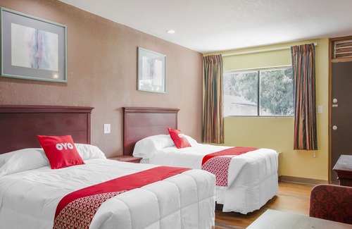 Bartow Hotel | Budget-Friendly OYO Inn in Bartow with Breakfast Options