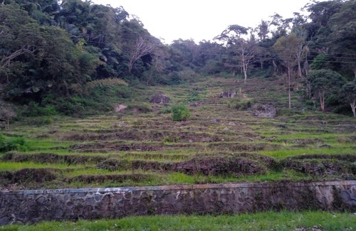 Moni House | Budget-Friendly OYOecocheap Lodge Near Flores Tour Agency
